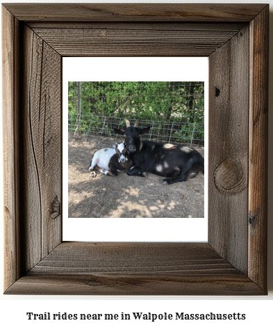 trail rides near me in Walpole, Massachusetts